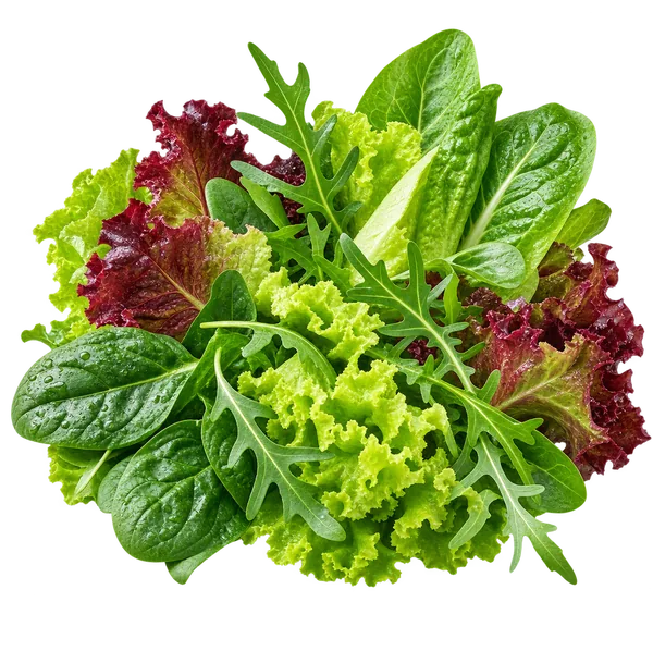Salad campur dibungkus